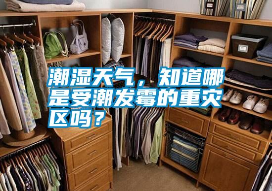 潮濕天氣，知道哪是受潮發(fā)霉的重災(zāi)區(qū)嗎？