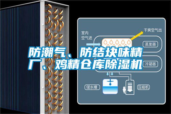 防潮氣、防結(jié)塊味精廠、雞精倉(cāng)庫(kù)除濕機(jī)