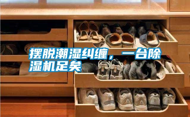 擺脫潮濕糾纏，一臺除濕機足矣