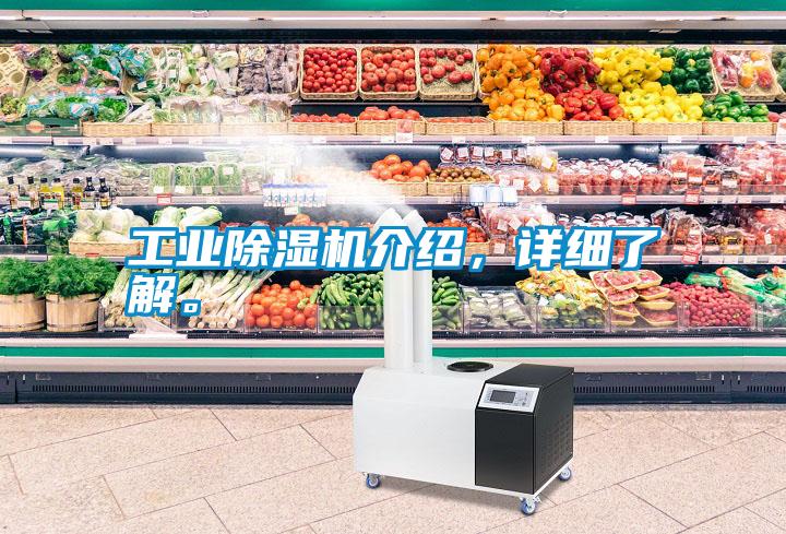工業(yè)除濕機(jī)介紹，詳細(xì)了解。