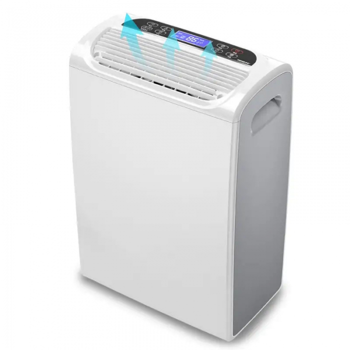 告別黃梅天，這樣做讓室內(nèi)不再“發(fā)霉”