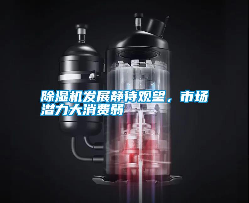 除濕機發(fā)展靜待觀望，市場潛力大消費弱