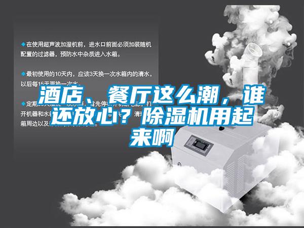 酒店、餐廳這么潮，誰還放心？除濕機用起來啊
