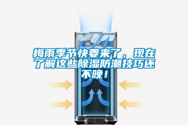 梅雨季節(jié)快要來了，現(xiàn)在了解這些除濕防潮技巧還不晚！