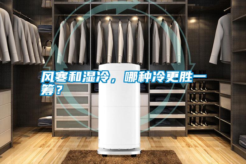 風(fēng)寒和濕冷，哪種冷更勝一籌？