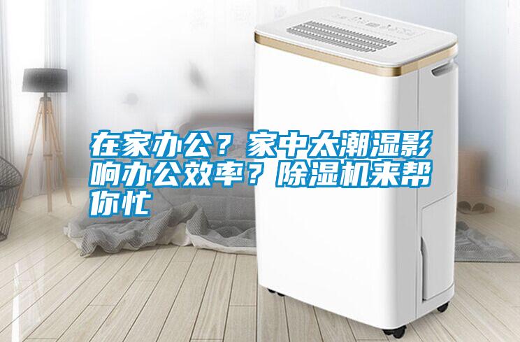 在家辦公？家中太潮濕影響辦公效率？除濕機來幫你忙