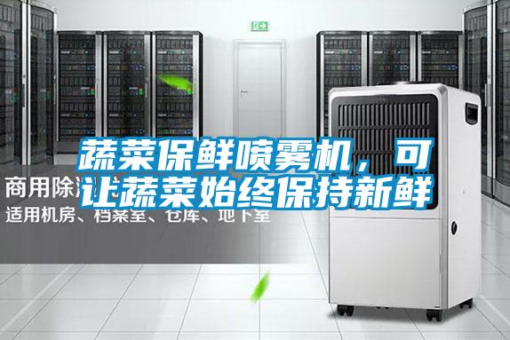 蔬菜保鮮噴霧機(jī)，可讓蔬菜始終保持新鮮