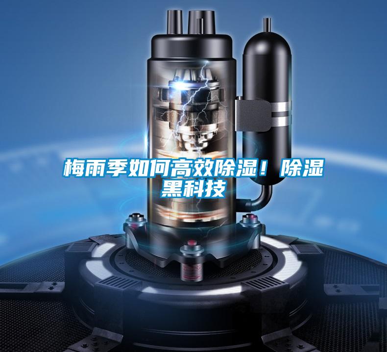 梅雨季如何高效除濕！除濕黑科技