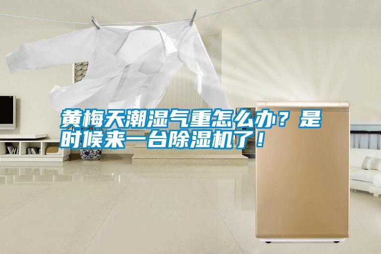 黃梅天潮濕氣重怎么辦？是時候來一臺除濕機了！