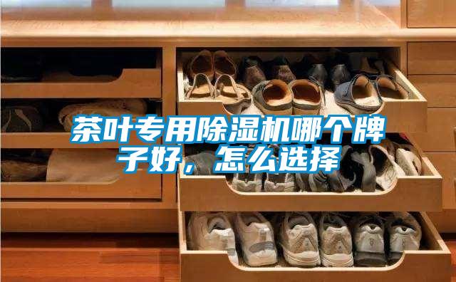 茶葉專用除濕機(jī)哪個(gè)牌子好，怎么選擇