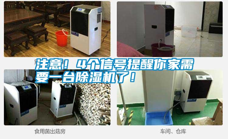 注意！4個信號提醒你家需要一臺除濕機了！