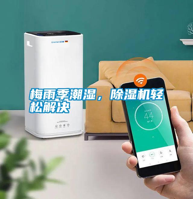 梅雨季潮濕，除濕機輕松解決