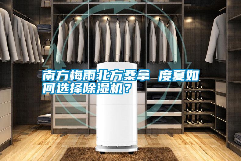 南方梅雨北方桑拿 度夏如何選擇除濕機？