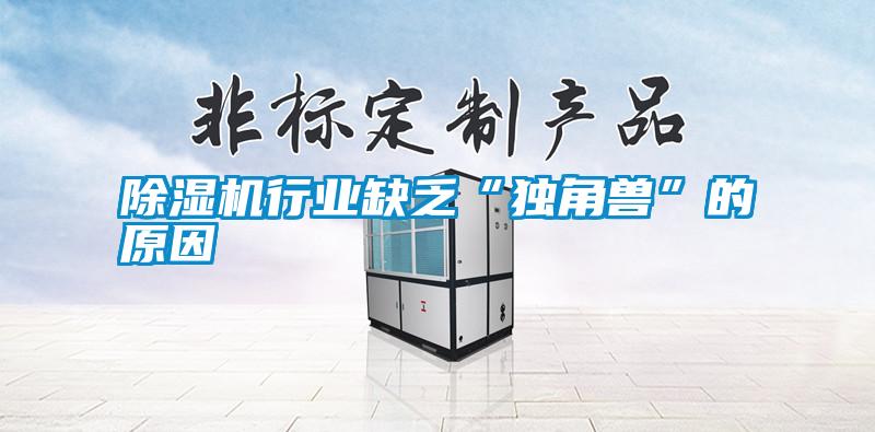 除濕機(jī)行業(yè)缺乏“獨(dú)角獸”的原因