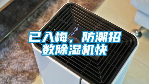 已入梅，防潮招數(shù)除濕機快