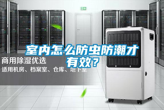 室內(nèi)怎么防蟲防潮才有效？