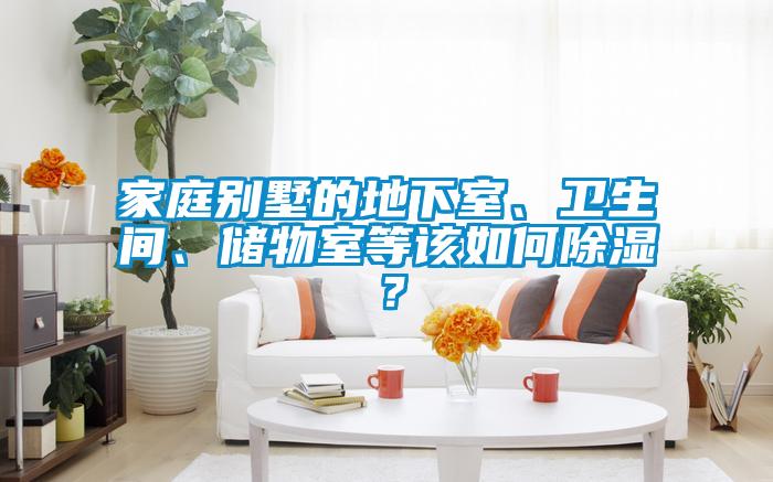家庭別墅的地下室、衛(wèi)生間、儲物室等該如何除濕？