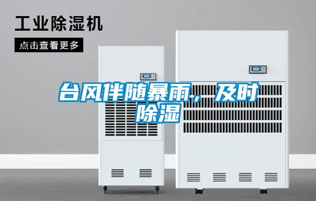 臺(tái)風(fēng)伴隨暴雨，及時(shí)除濕