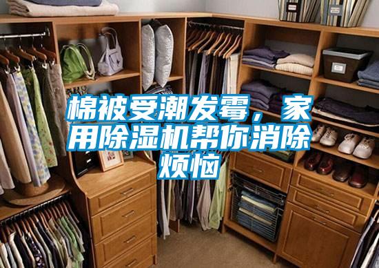 棉被受潮發(fā)霉，家用除濕機幫你消除煩惱