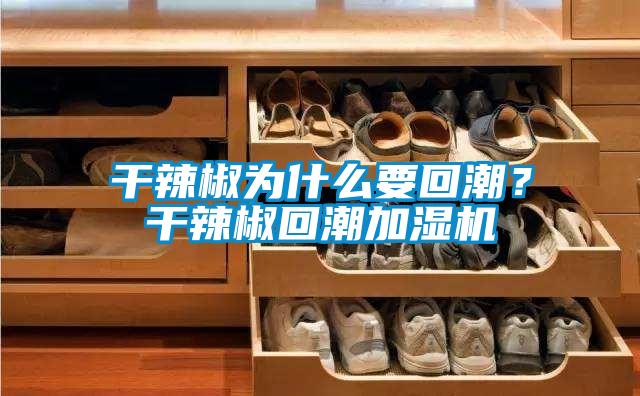 干辣椒為什么要回潮？干辣椒回潮加濕機(jī)