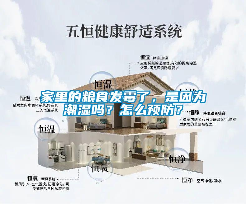 家里的糧食發(fā)霉了，是因?yàn)槌睗駟?？怎么預(yù)防？