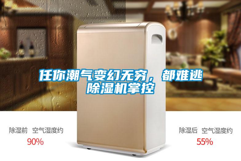 任你潮氣變幻無窮，都難逃除濕機掌控