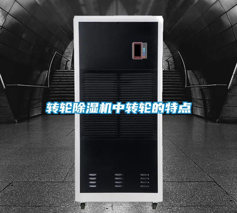 轉輪除濕機中轉輪的特點