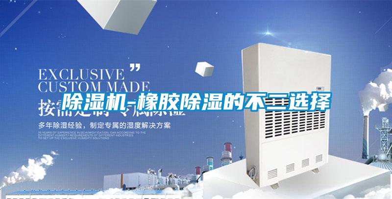 除濕機(jī)-橡膠除濕的不二選擇