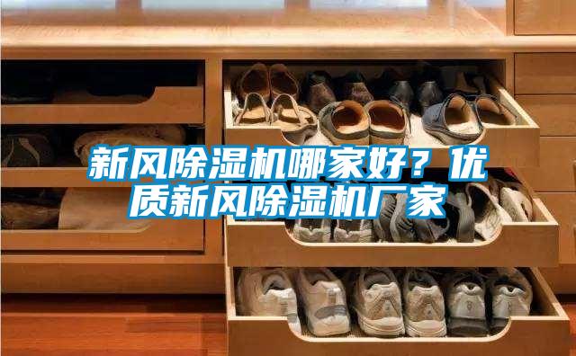 新風(fēng)除濕機哪家好？優(yōu)質(zhì)新風(fēng)除濕機廠家