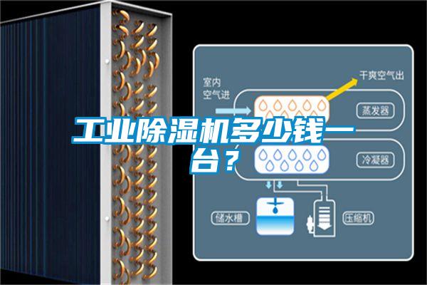 工業(yè)除濕機多少錢一臺？
