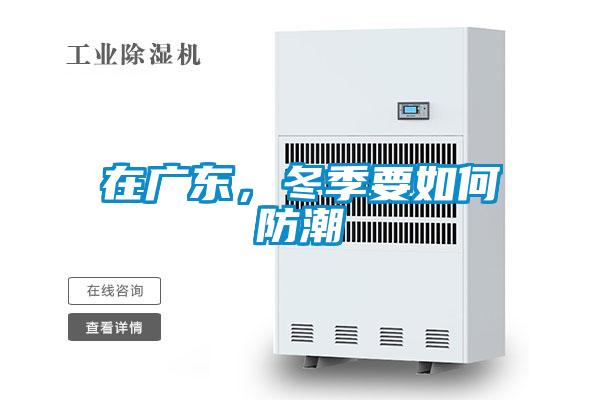 在廣東，冬季要如何防潮