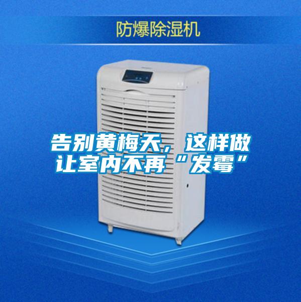 告別黃梅天，這樣做讓室內(nèi)不再“發(fā)霉”