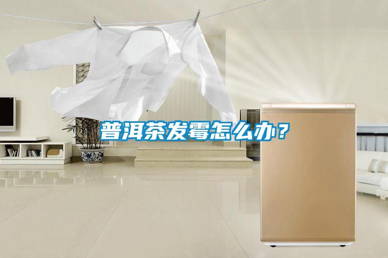 普洱茶發(fā)霉怎么辦？