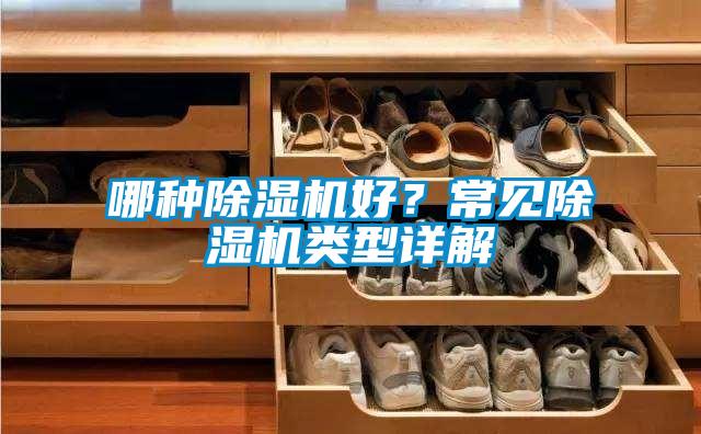 哪種除濕機好？常見除濕機類型詳解