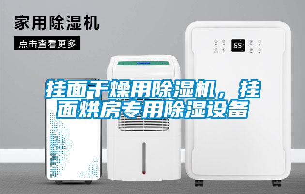 掛面干燥用除濕機，掛面烘房專用除濕設(shè)備