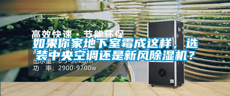 如果你家地下室霉成這樣，選裝中央空調(diào)還是新風(fēng)除濕機？