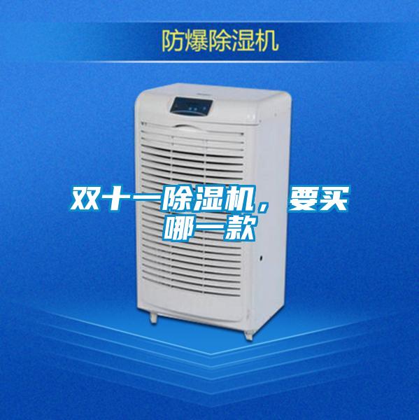雙十一除濕機(jī)，要買哪一款