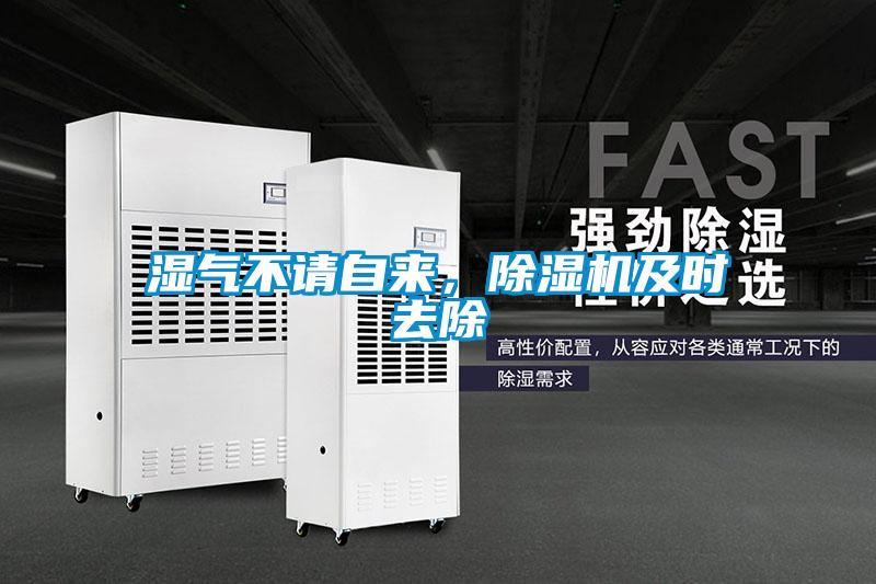 濕氣不請自來，除濕機及時去除