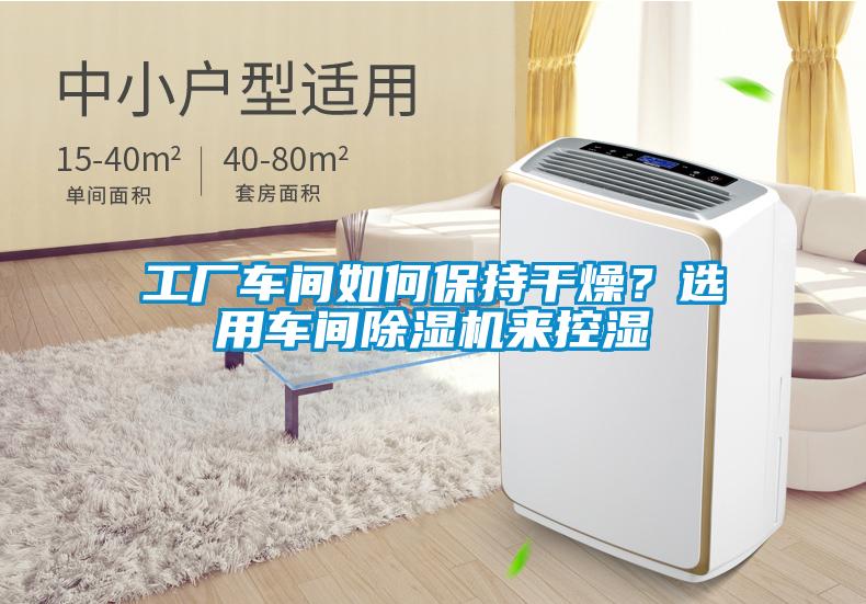 工廠車間如何保持干燥？選用車間除濕機來控濕