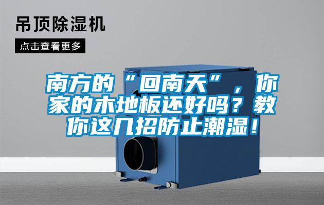 南方的“回南天”，你家的木地板還好嗎？教你這幾招防止潮濕！