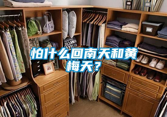 怕什么回南天和黃梅天？