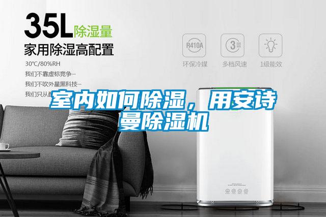 室內(nèi)如何除濕，用安詩(shī)曼除濕機(jī)