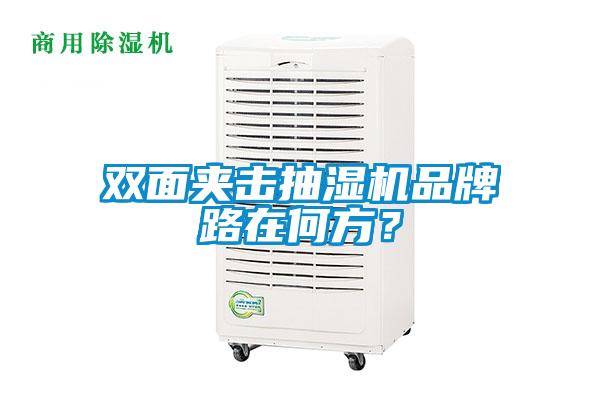 雙面夾擊抽濕機(jī)品牌路在何方？