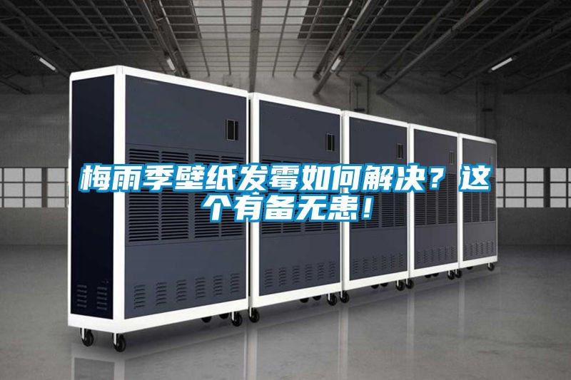 梅雨季壁紙發(fā)霉如何解決？這個有備無患！