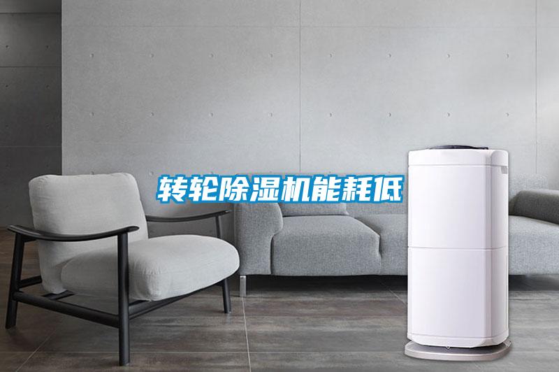 轉(zhuǎn)輪除濕機能耗低