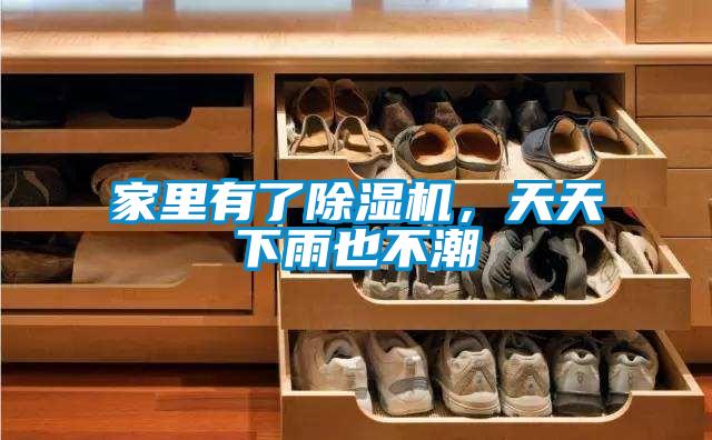 家里有了除濕機(jī)，天天下雨也不潮