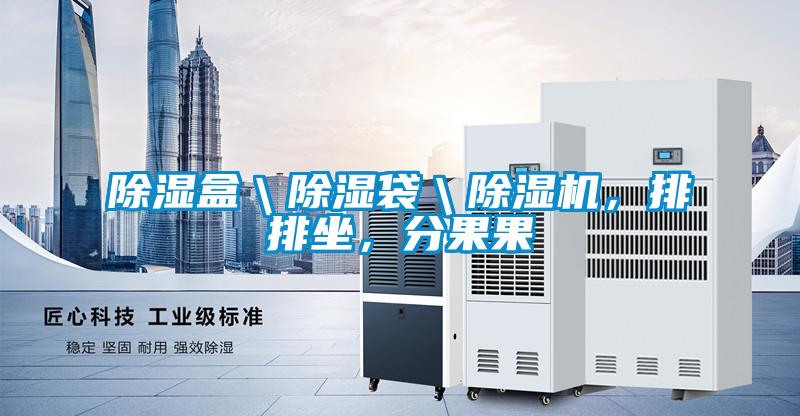 除濕盒＼除濕袋＼除濕機，排排坐，分果果