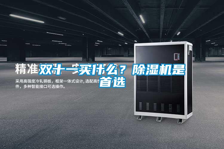 雙十一買什么？除濕機是首選