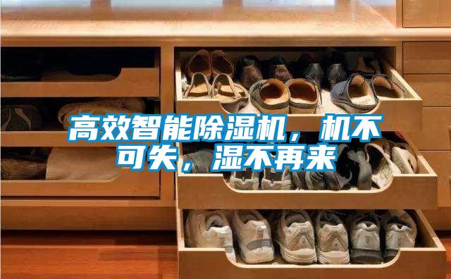 高效智能除濕機(jī)，機(jī)不可失，濕不再來