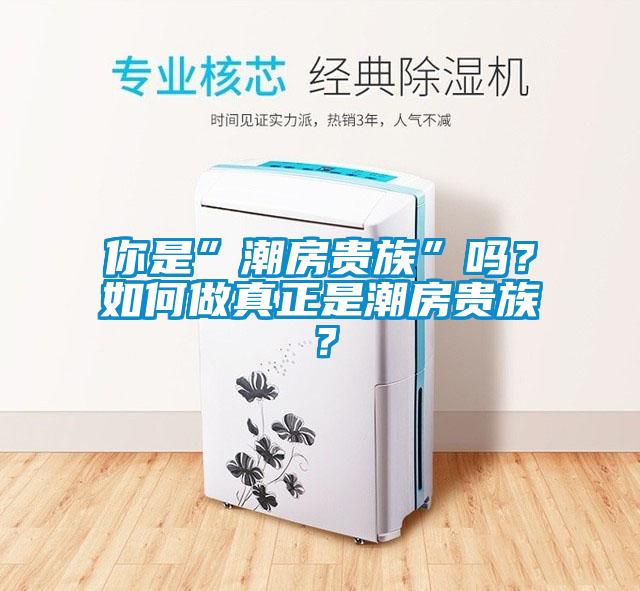 你是”潮房貴族”嗎？如何做真正是潮房貴族？